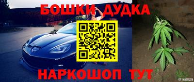 МДПВ Нарткала