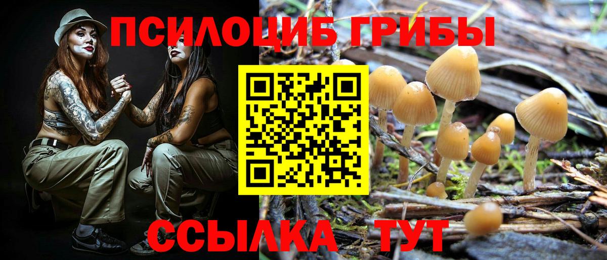 Псилоцибиновые грибы прущие грибы Арзамас